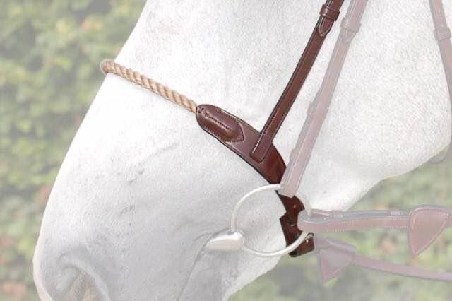 Muserolle corde Dyon