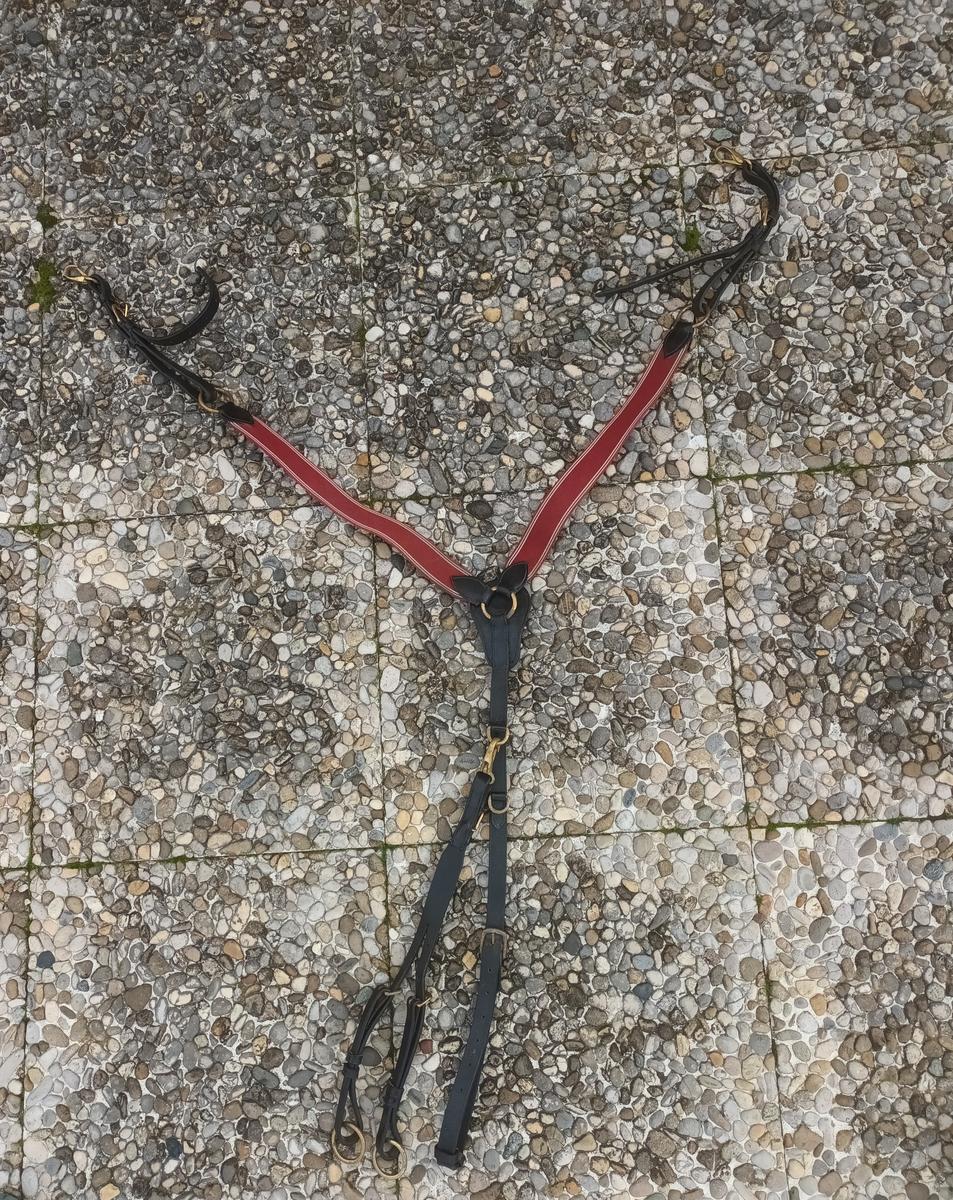 Collier de chasse avec martingale