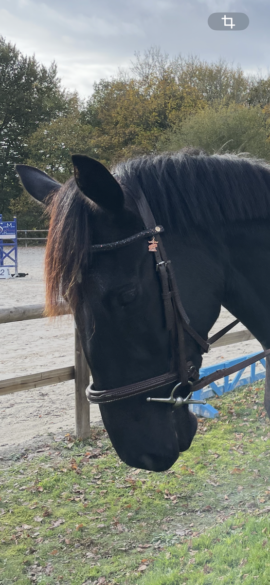 vend bonnet et frontale ju&pa