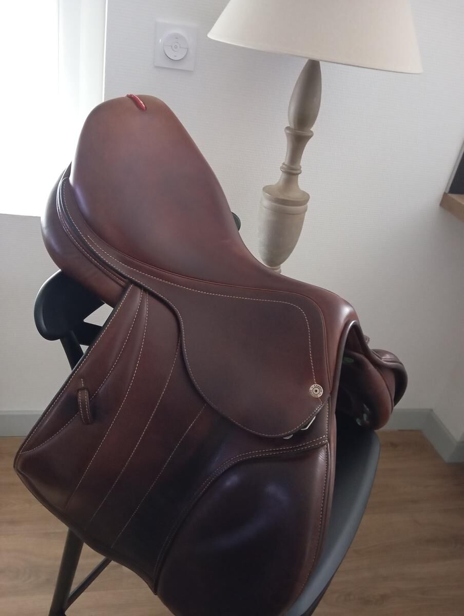 Selle carbone équipe