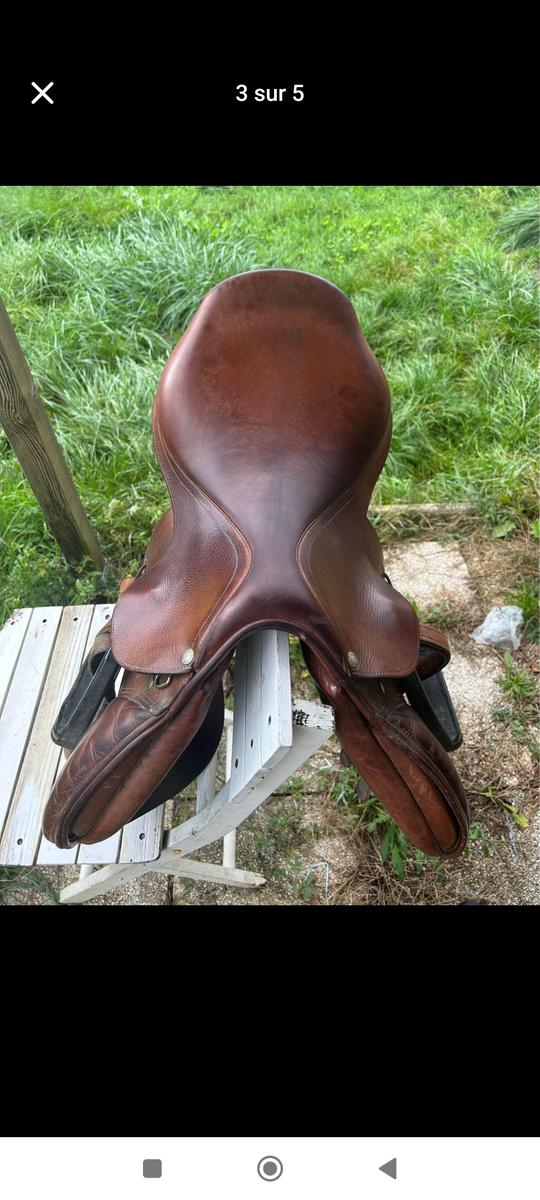 Selle mixte forestier