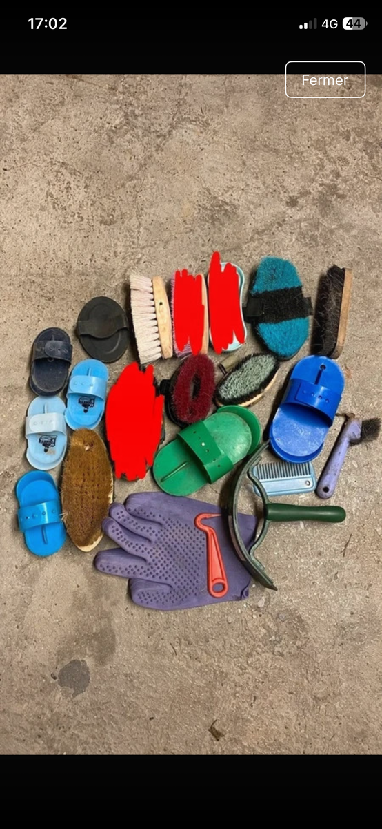 Lot brosse cheval