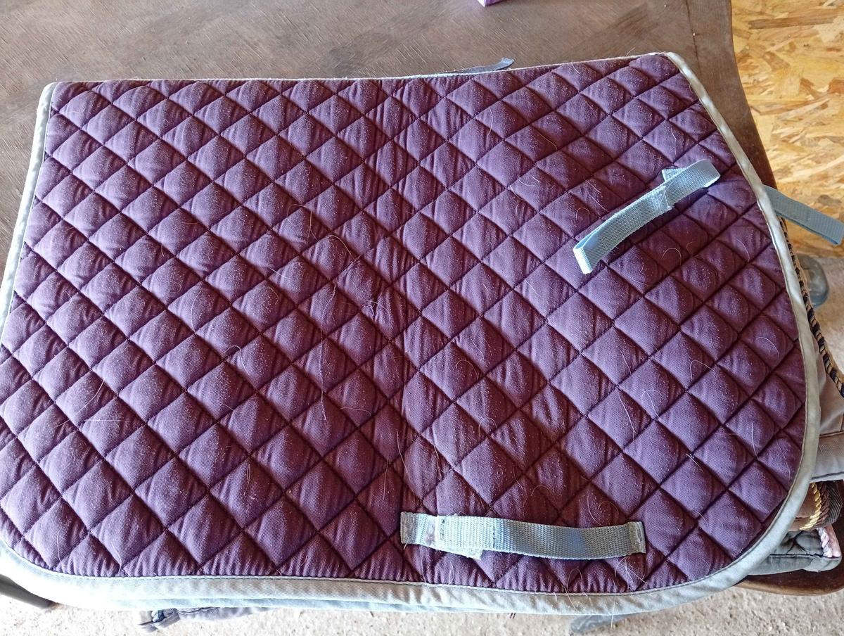 tapis Fouganza violet / bleu ciel