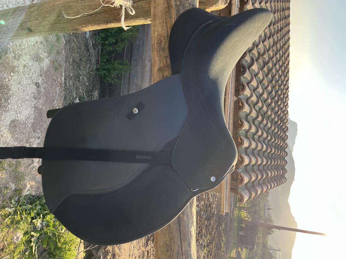 Selle Wintec 2000 17,5 quasi neuve