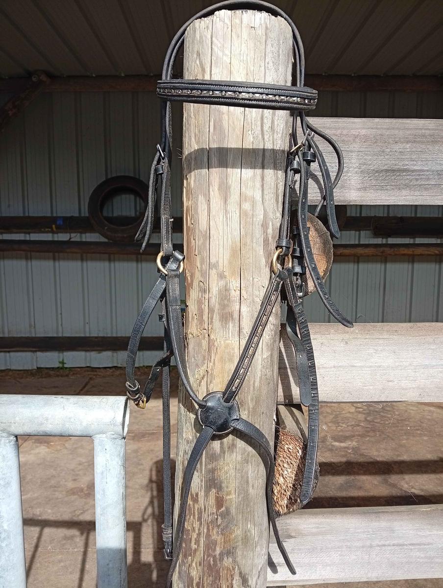 filet muserolle mexicaine noir/doré