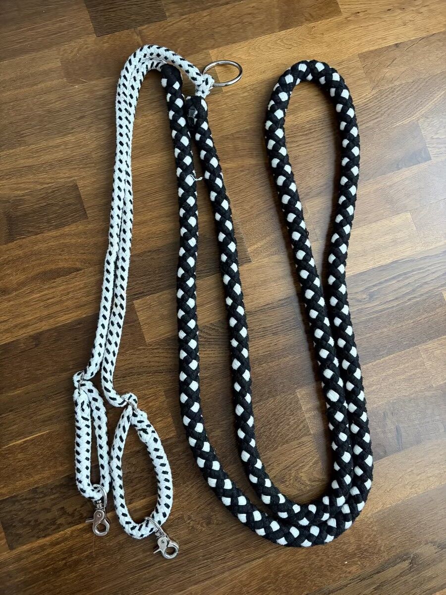 Enrênement pour longer Canter Soft Rope