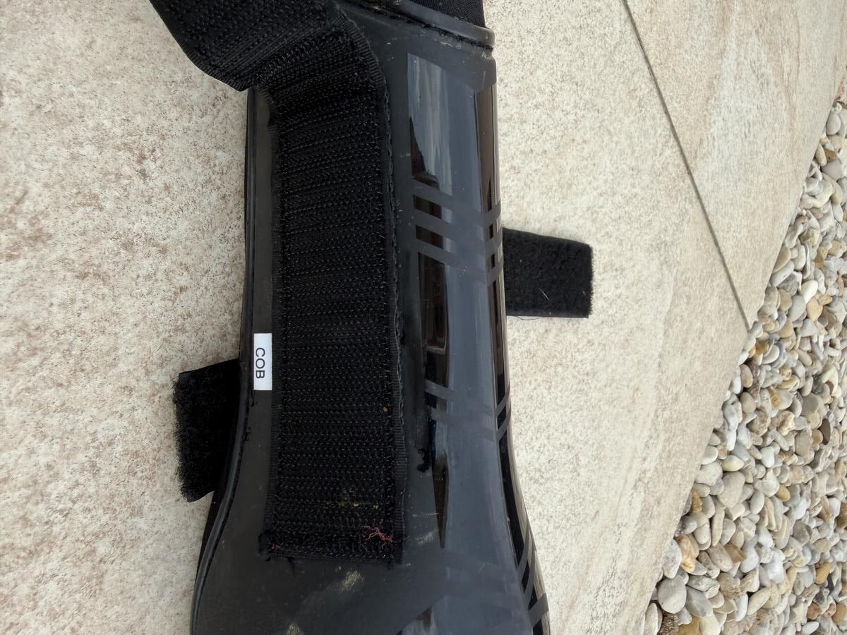 Guêtres antérieures