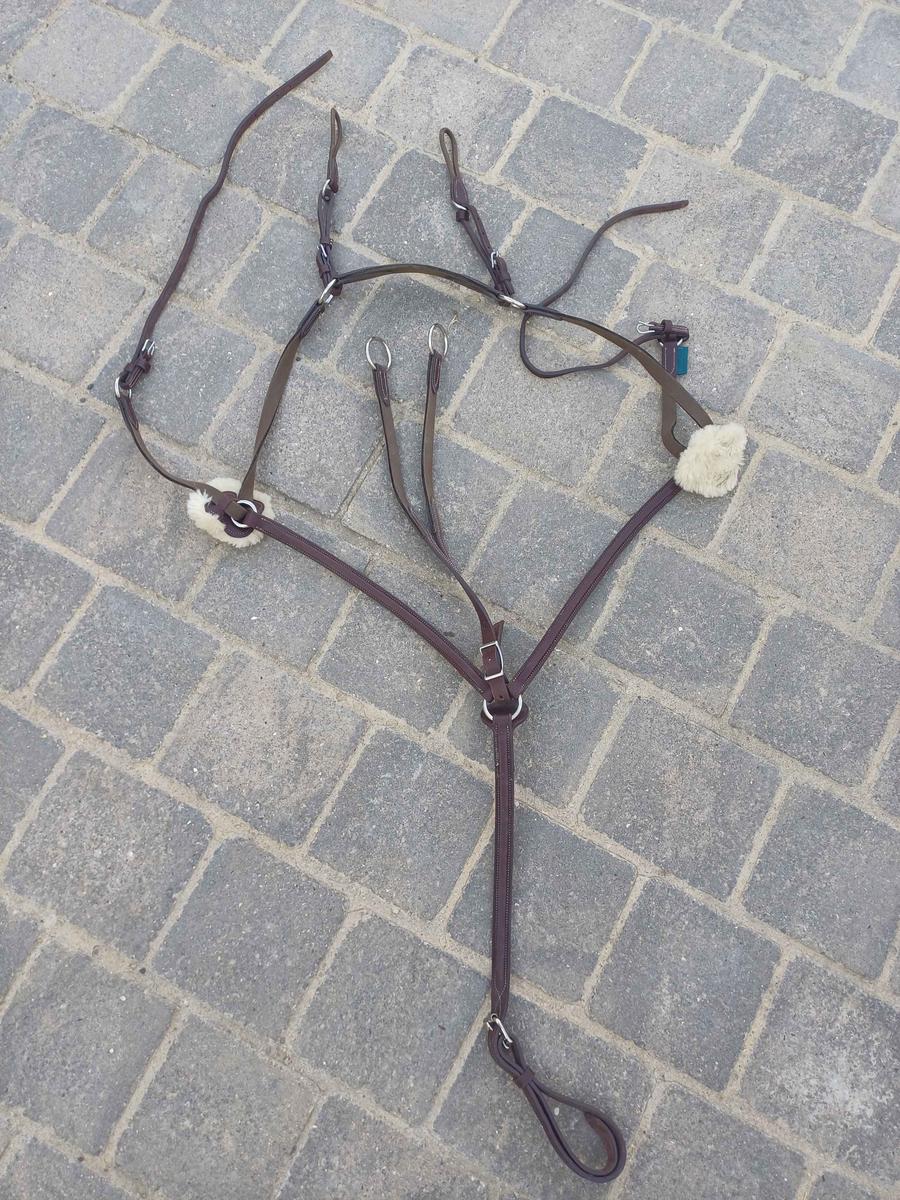 collier de chasse + martingale cheval (biarritz) devoucoux havane