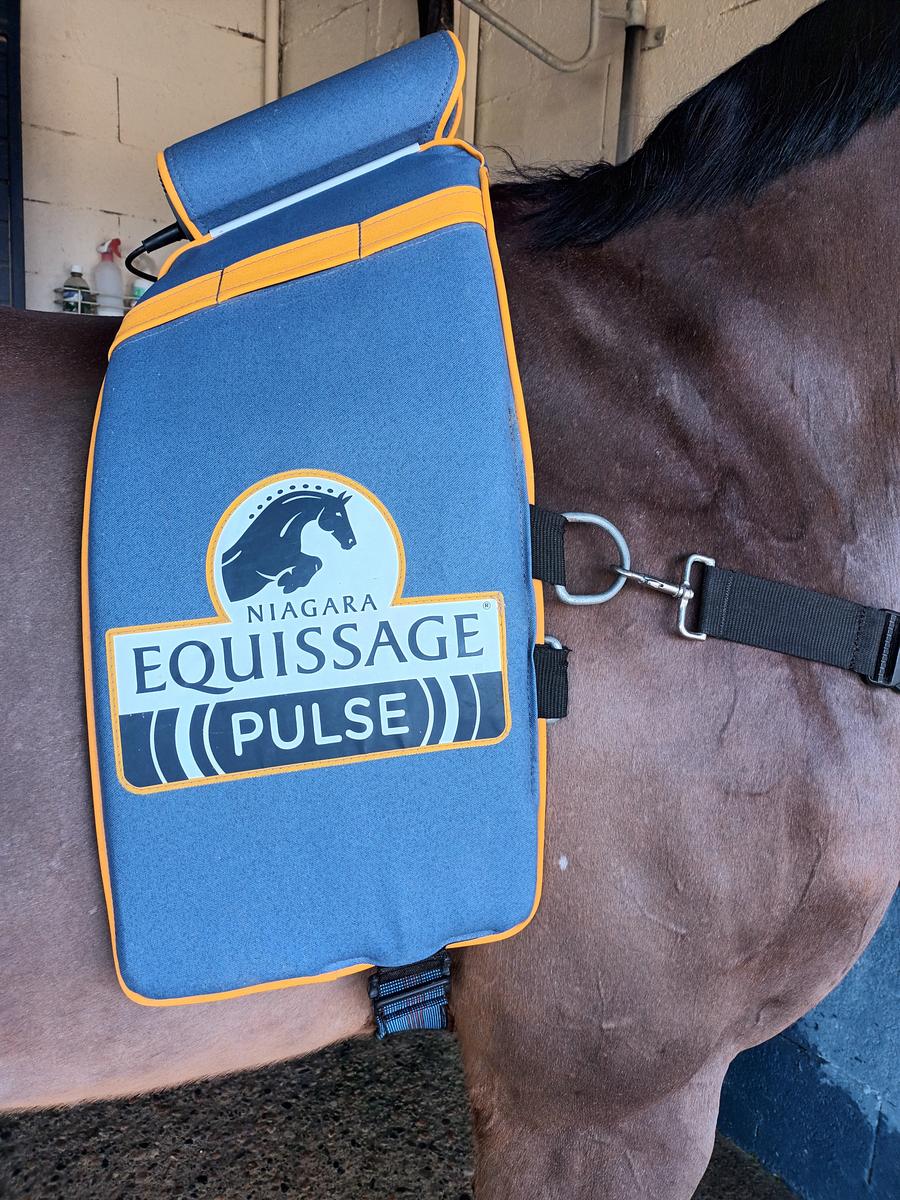 SANGLE DE MASSAGE EQUISSAGE