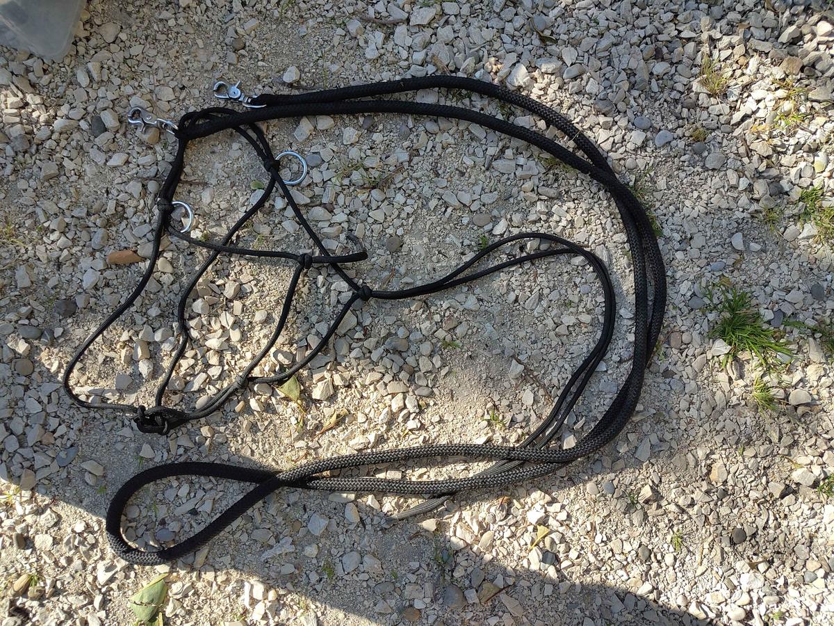 licol éthologique et rênes