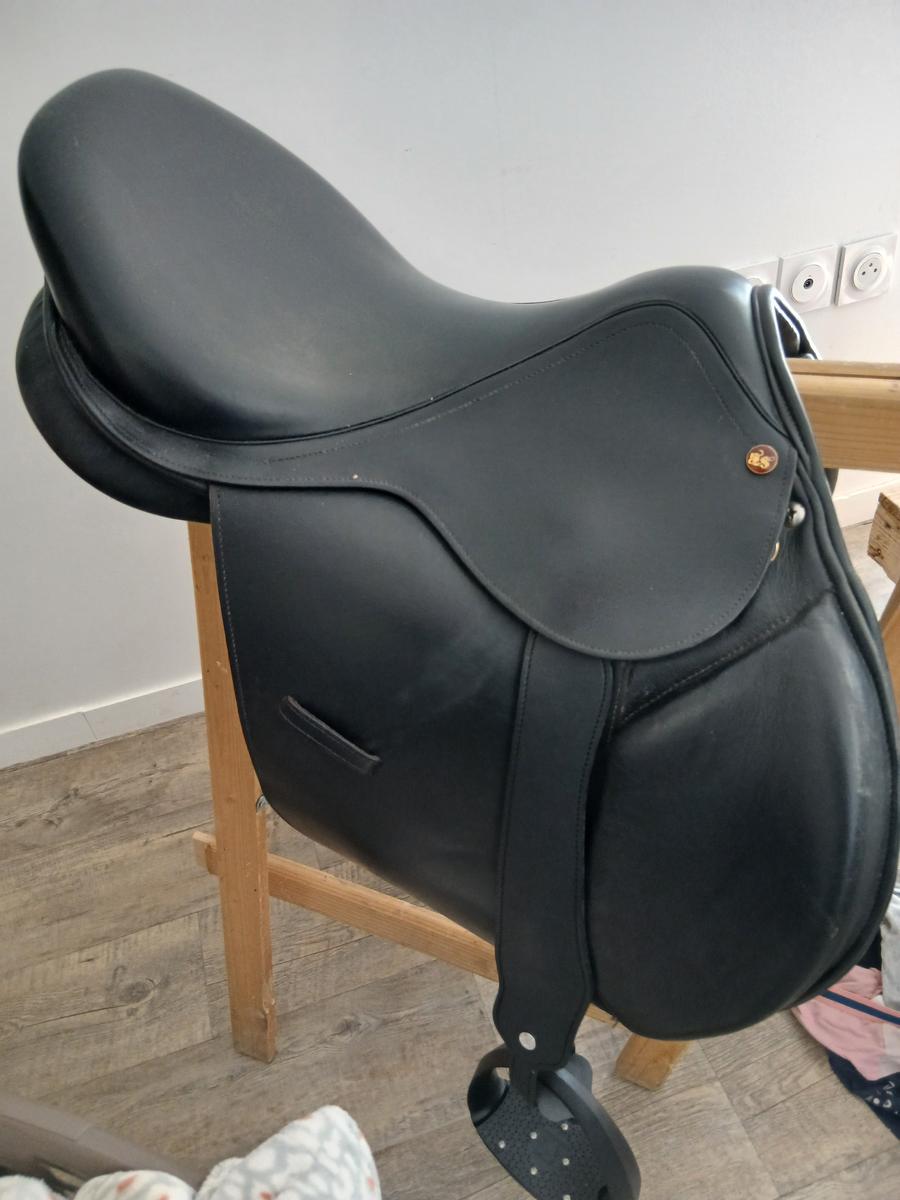 Selle sellerie baude