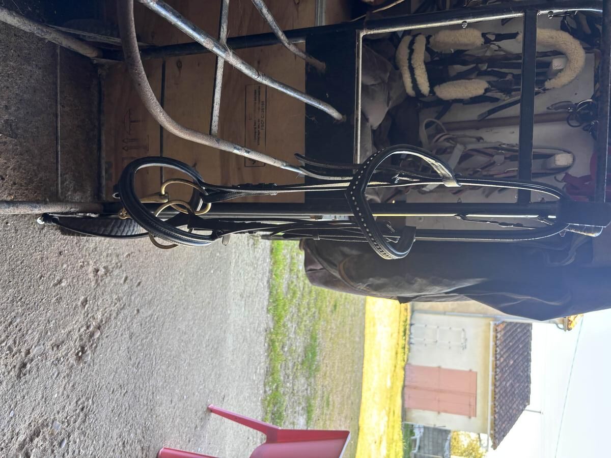 filet noir à strass