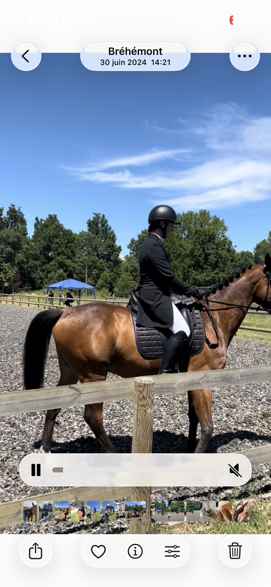 Veste de concours de dressage (Frac) Montar