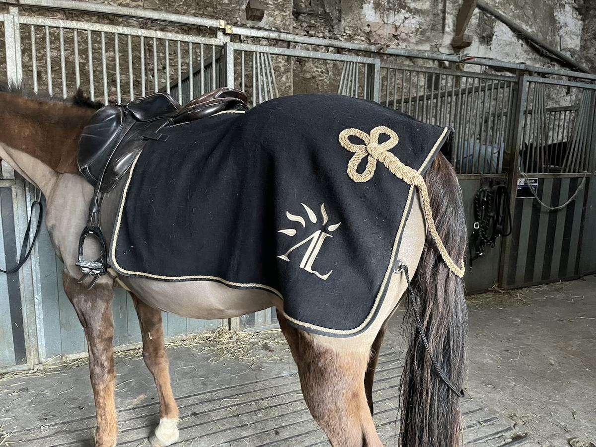 Couvre-reins cheval laine Ledermann noir et or