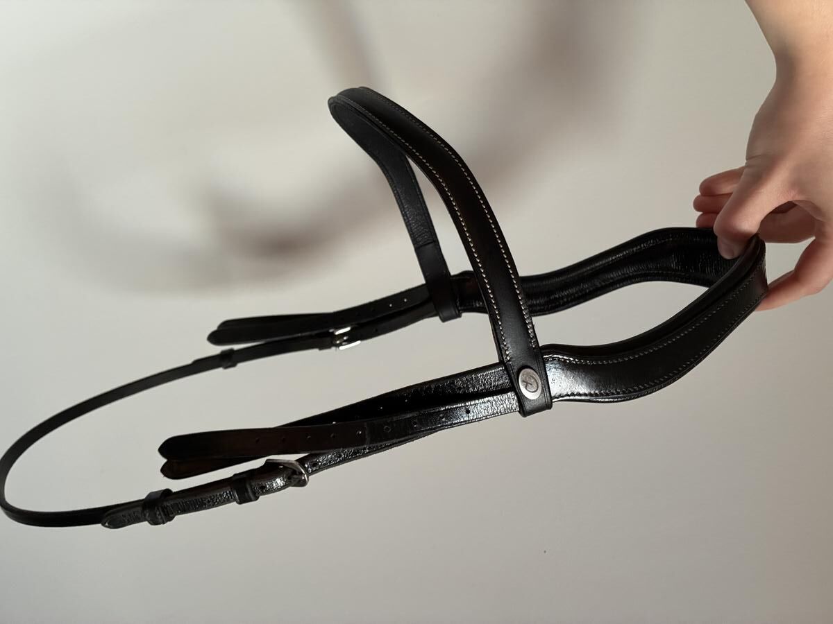 Filet têtière dy’on