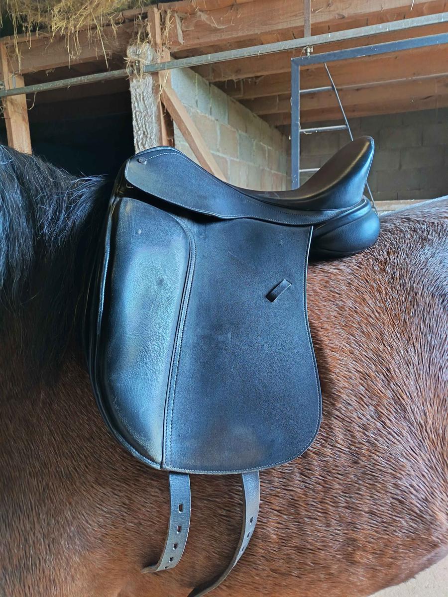 selle dressage noire