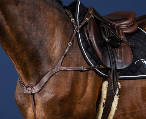 Collier de chasse DYON anatomique