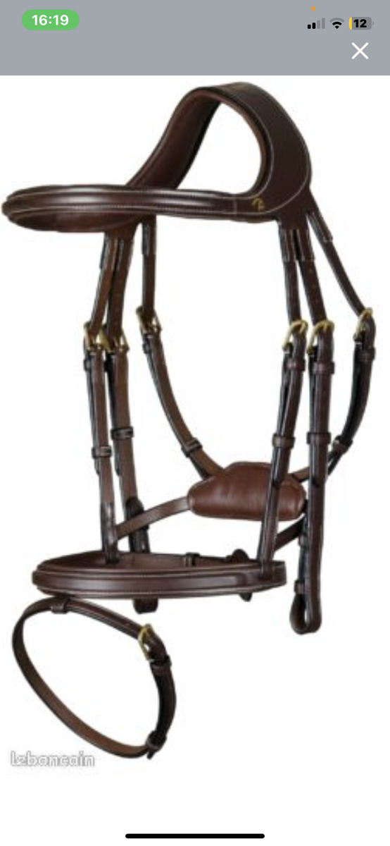 Filet anatomique Dyon