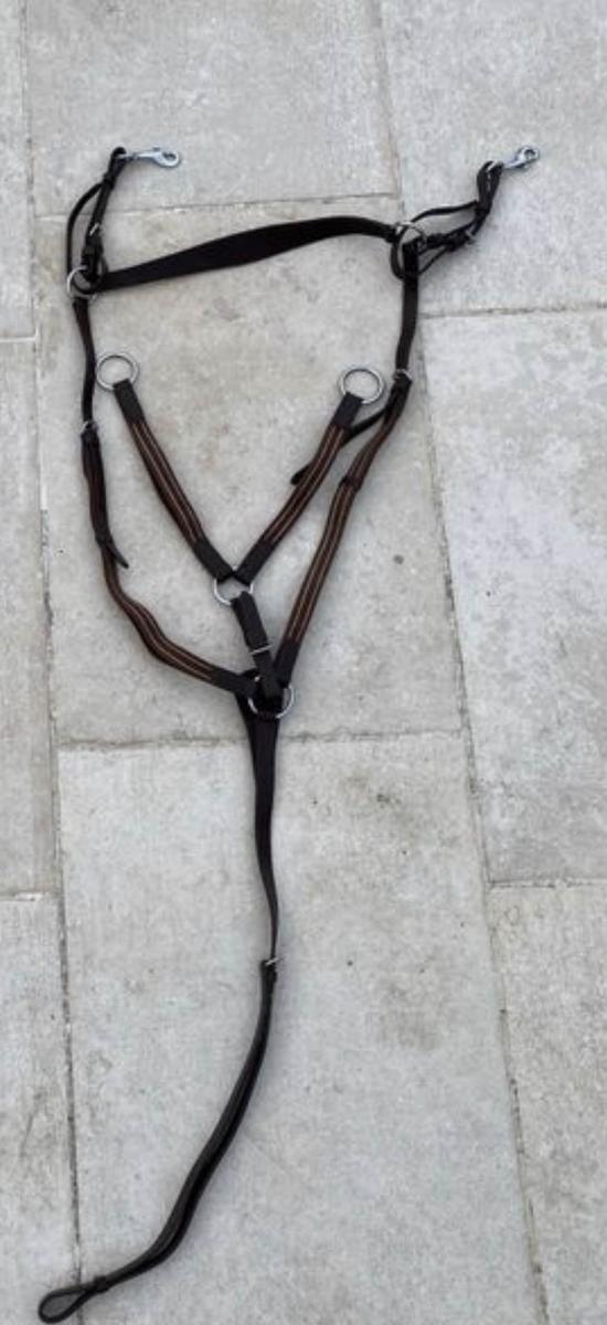 collier de chasse avec martingale marron
