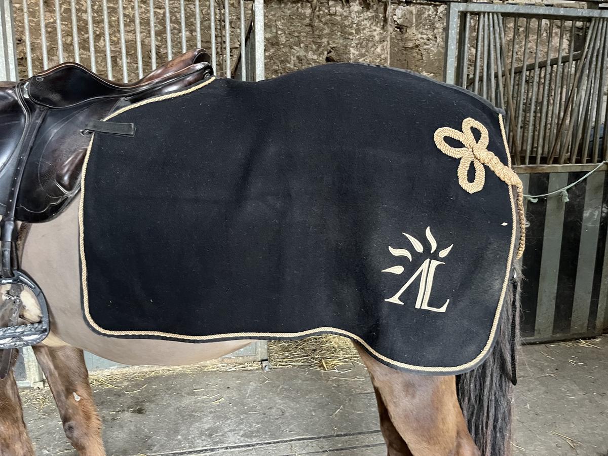 Couvre-reins cheval laine Ledermann noir et or