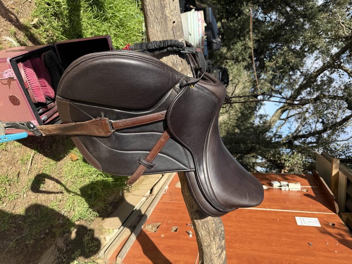 selle mixte 17,5 pouces