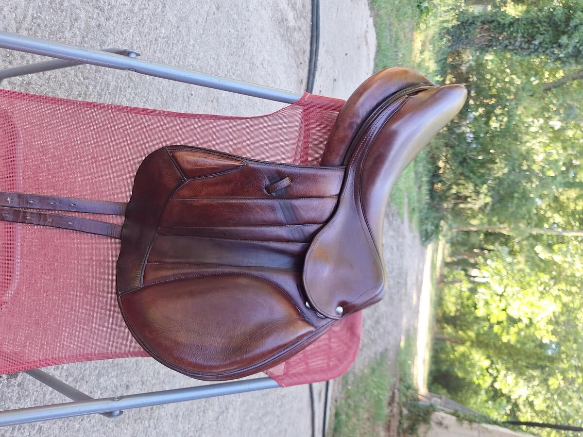 Selle Forestier