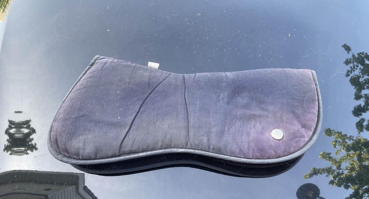 amortisseur Ogilvy bleu demi pad