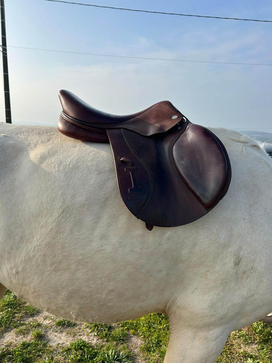 selle ikonic élite Line 17