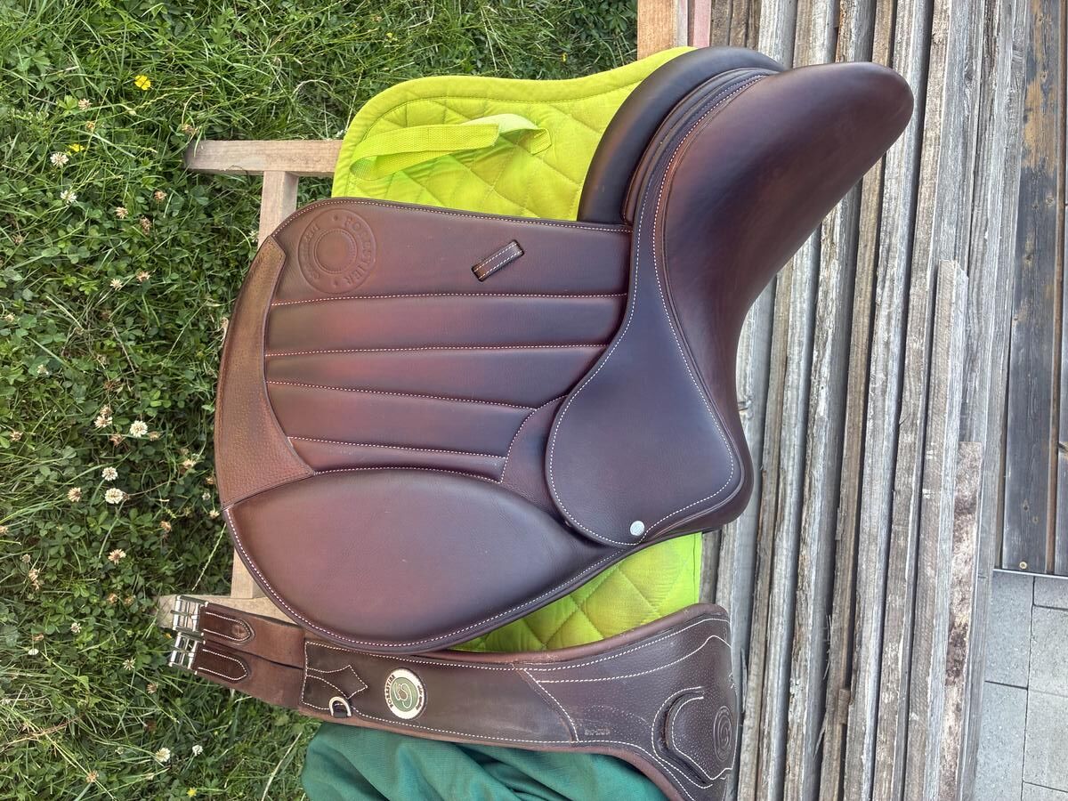 selle Forestier Séoul