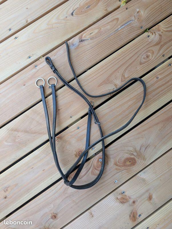 Martingale à anneaux Eric Thomas cheval