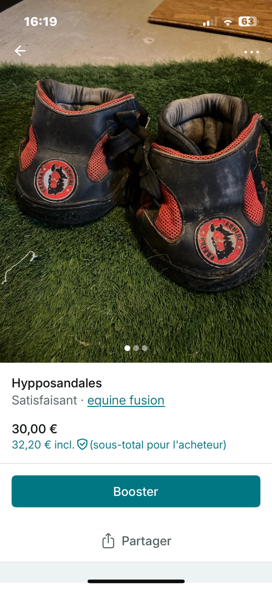Hypposandales