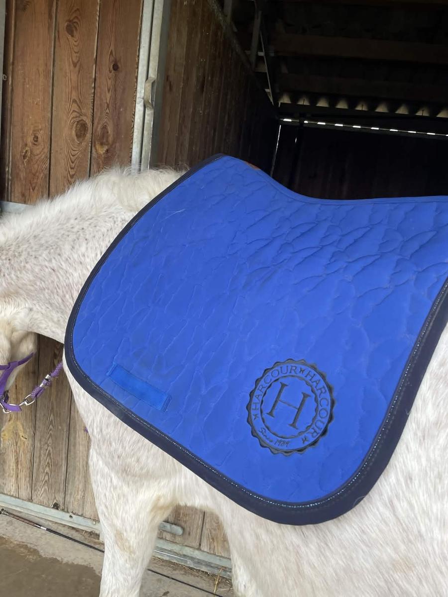 Tapis Harcour Adele Vaillant bleu electrique