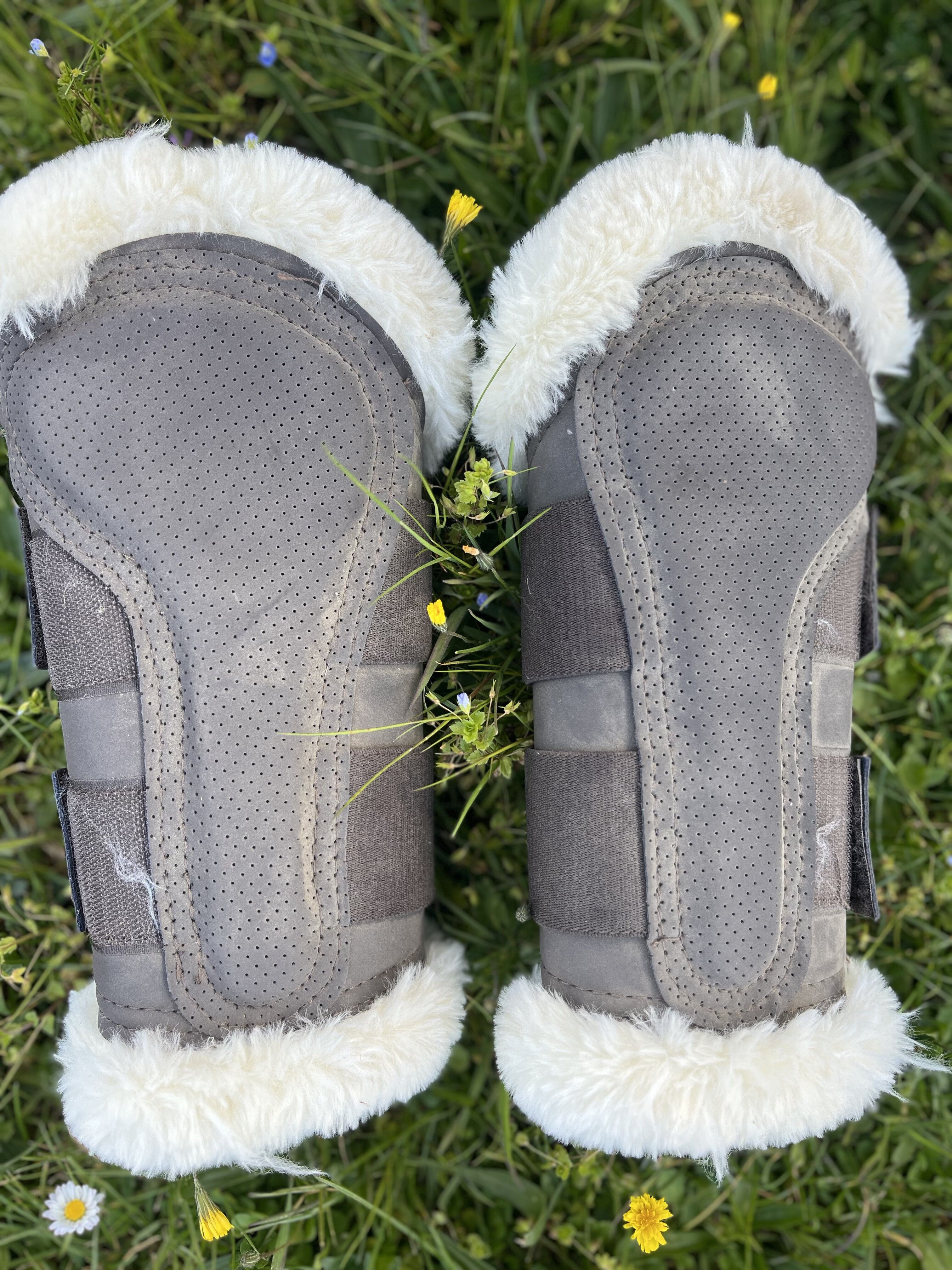 guêtres antérieurs/posterieurs Kentucky