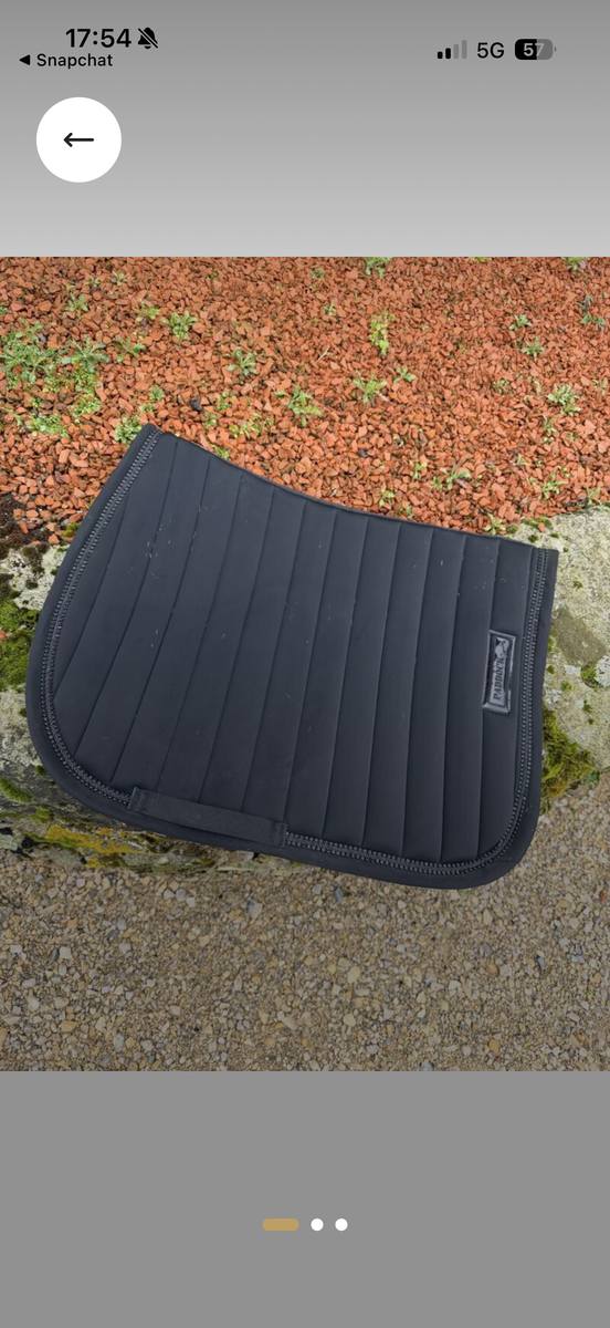 tapis verticali paddock