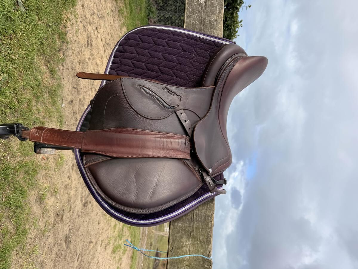 magnifique selle Antares