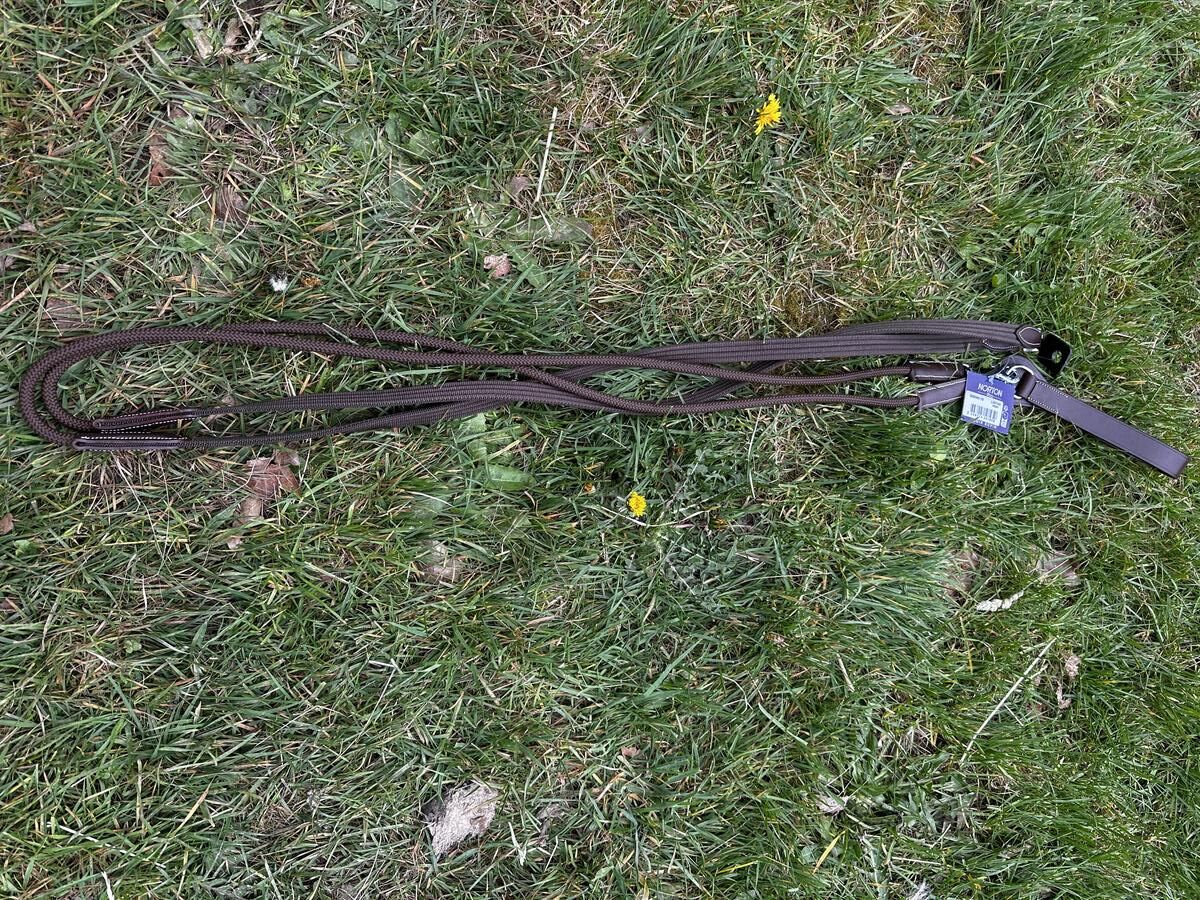 rênes allemandes poney