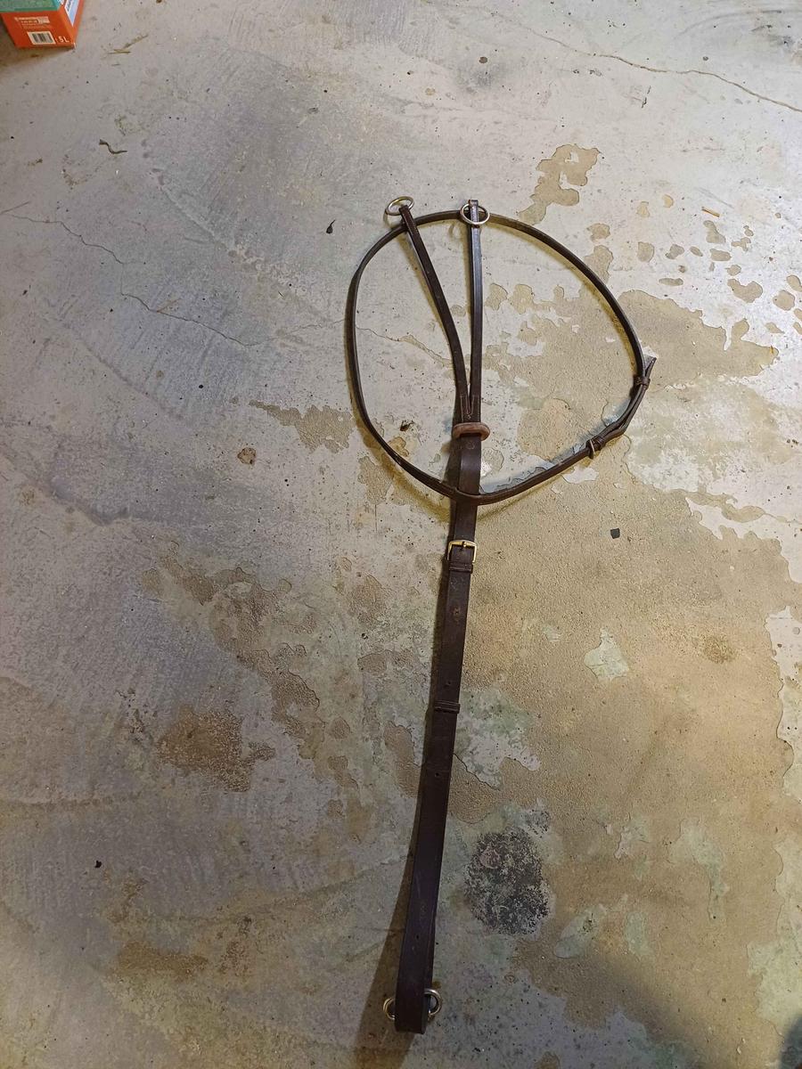 Martingale fouganza havane taille cheval