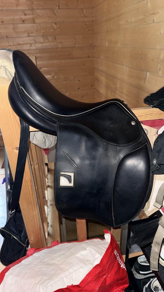 Selle Childeric mixte