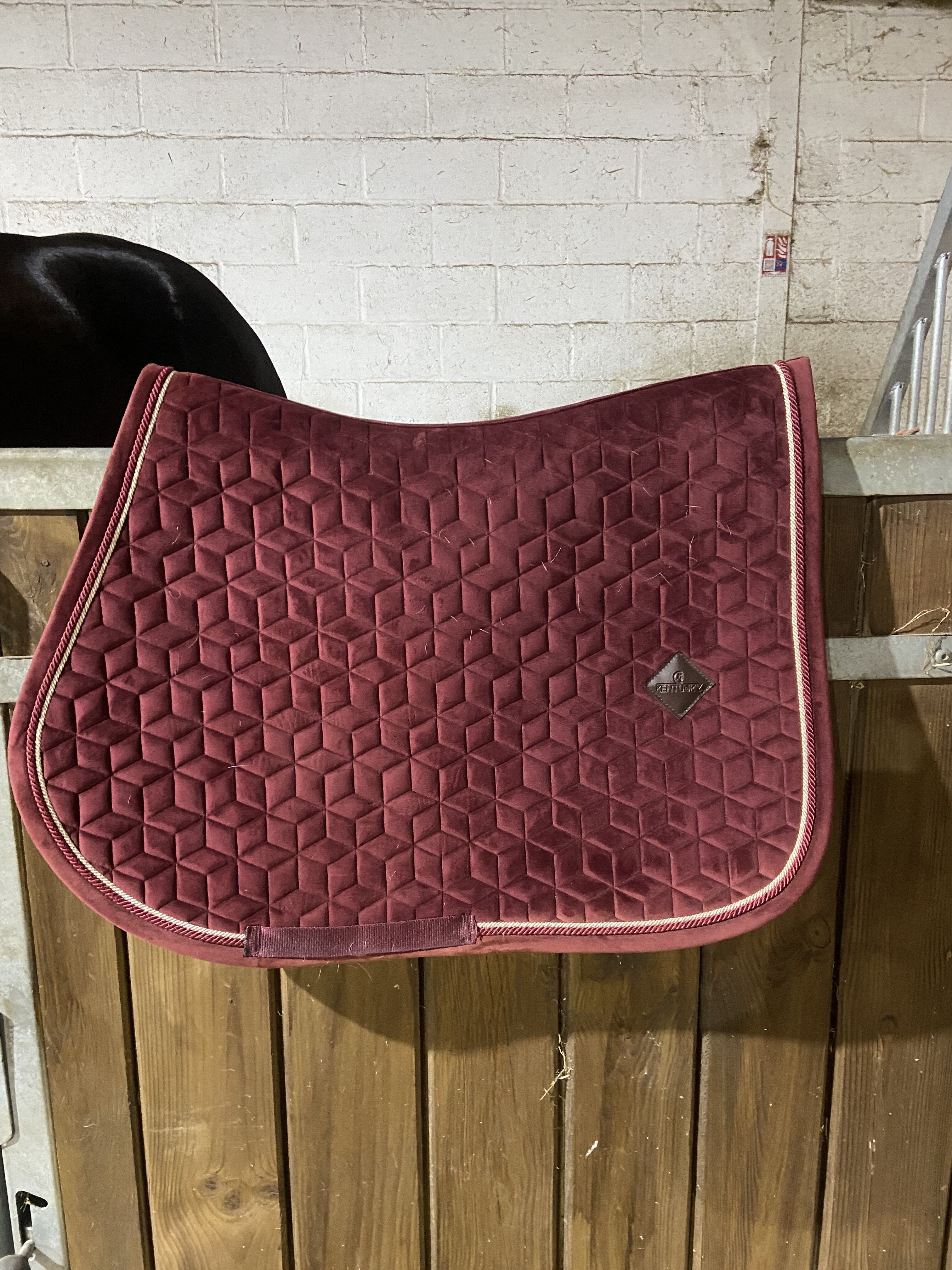 Tapis Velvet Kentuchy