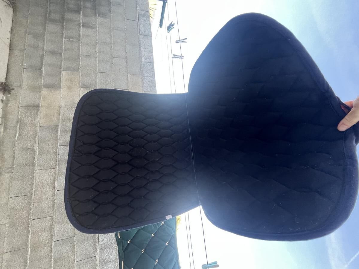 Tapis Equithème dressage