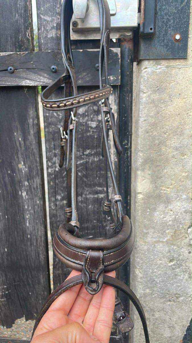 Bridon Pénélope