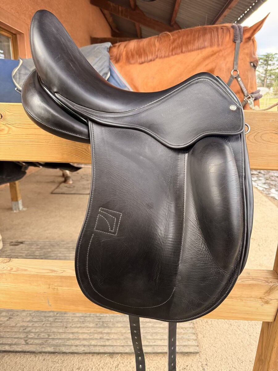 Selle Childéric DNL