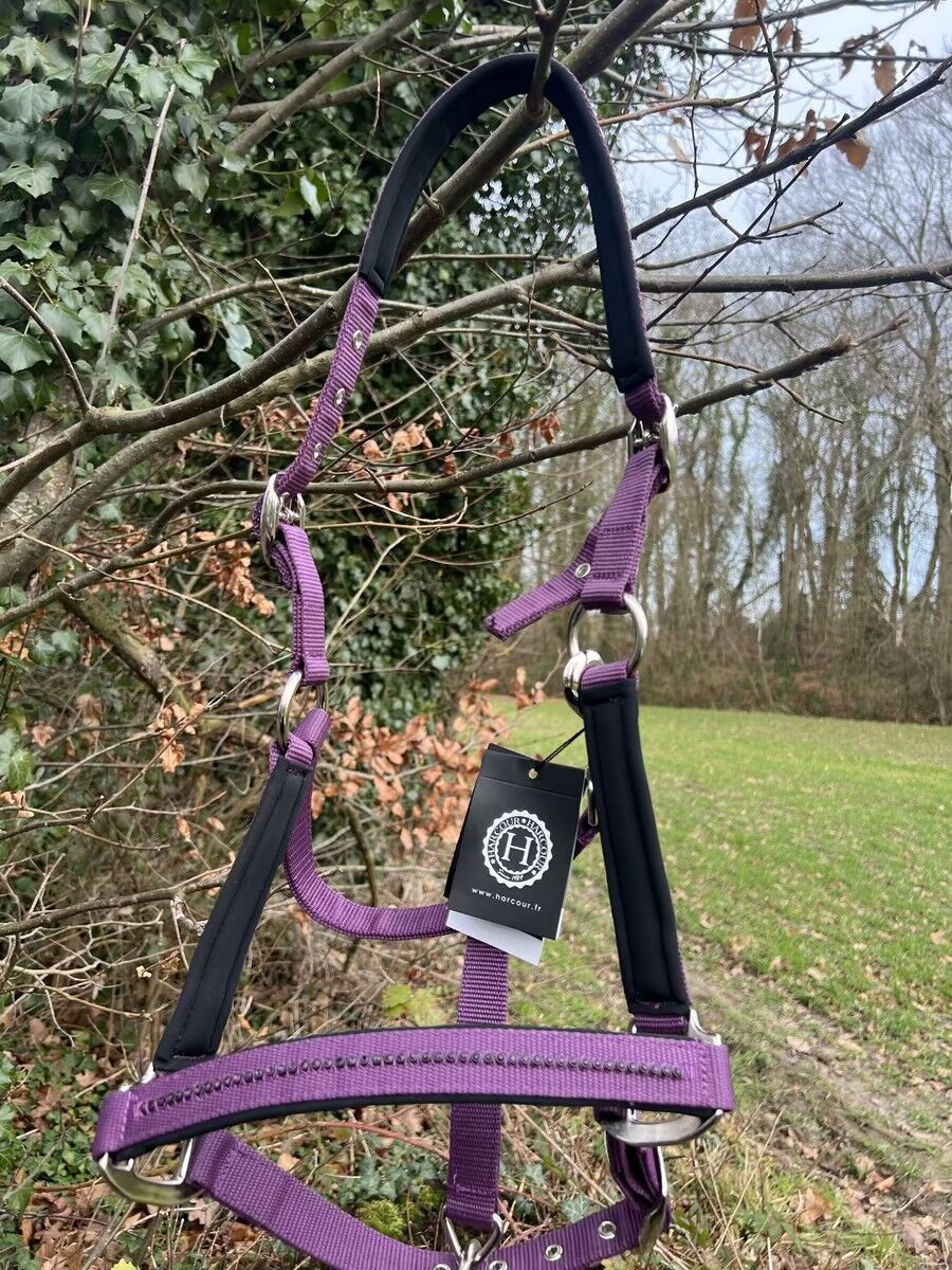 licol + longe Harcour