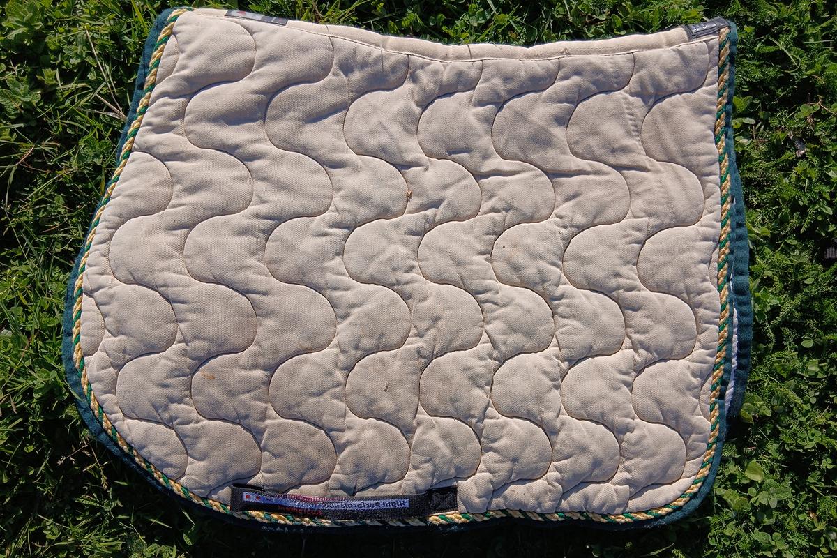 Tapis de concours equiline