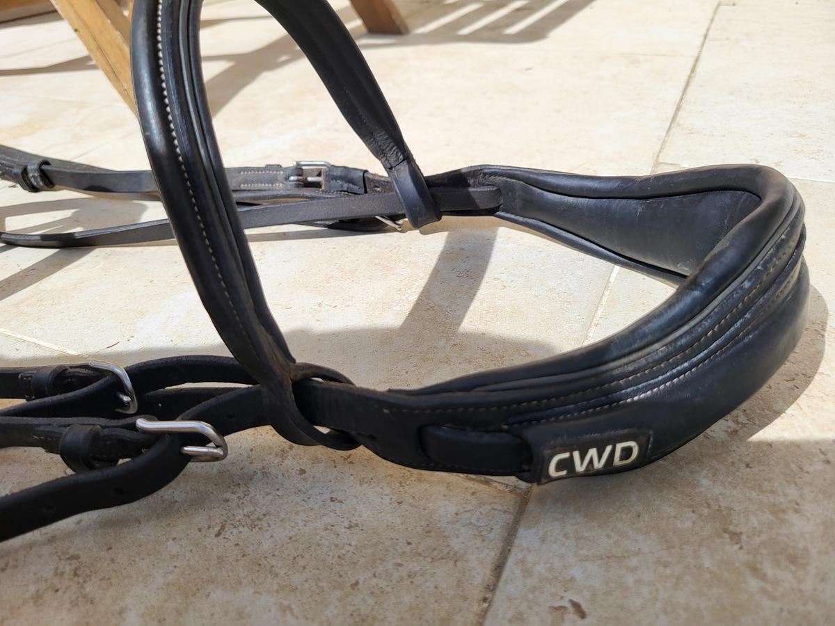 Bridon anatomique CWD