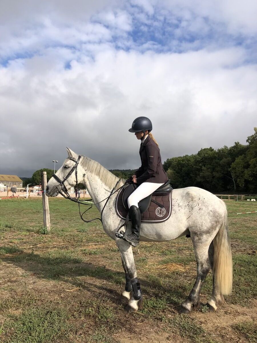 tapis harcour marron