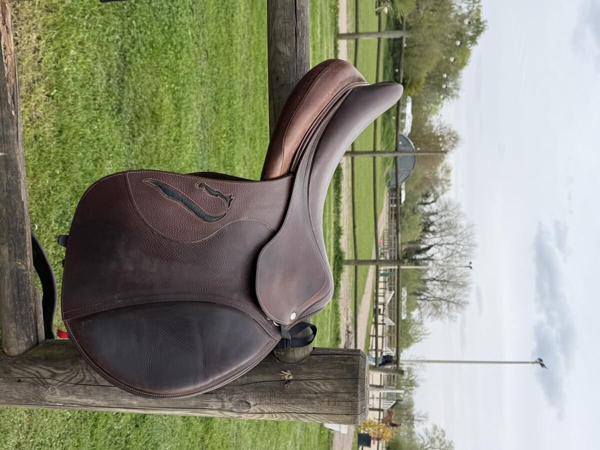 Selle Antares évolution