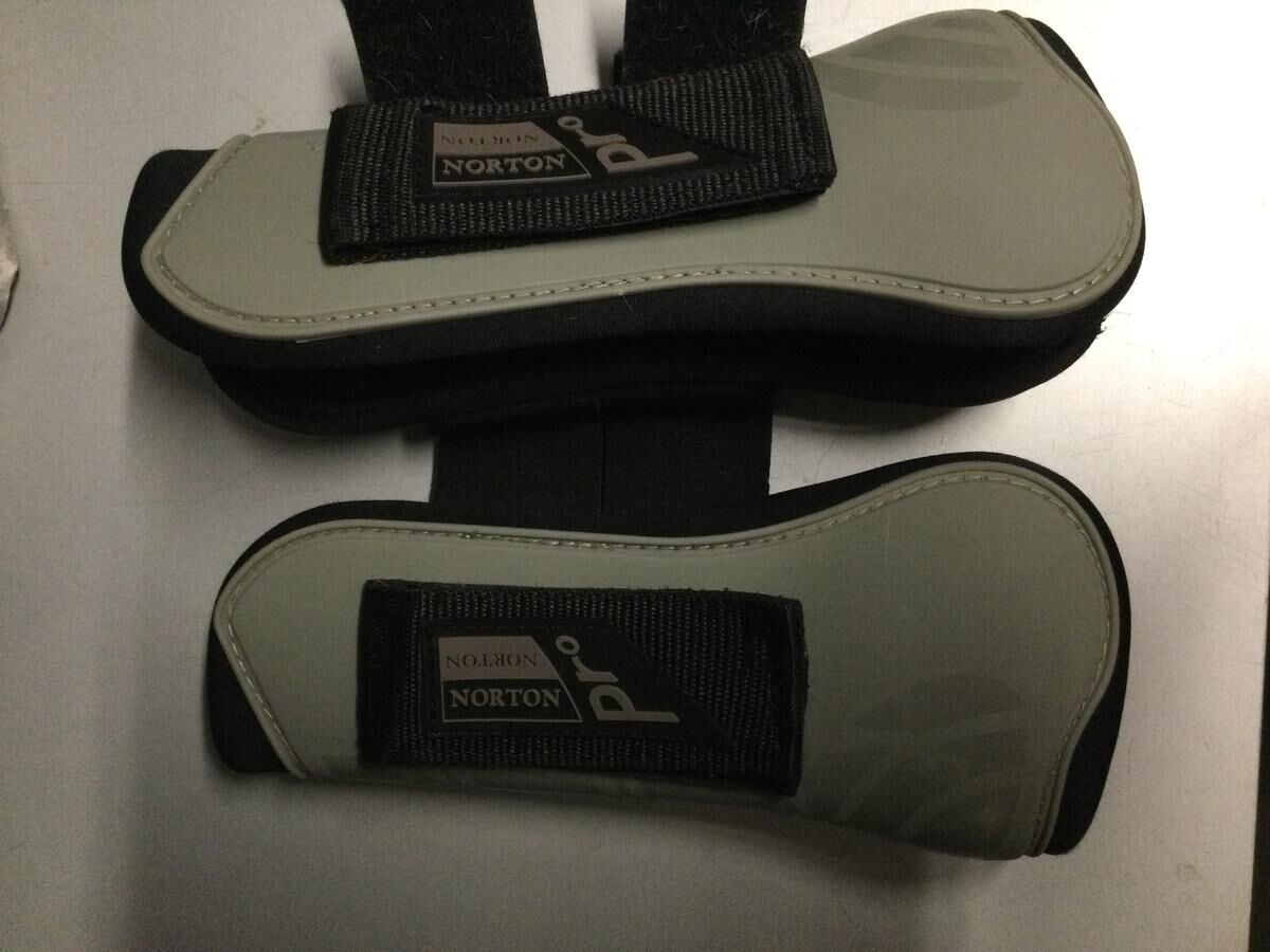 Protections Norton Pro