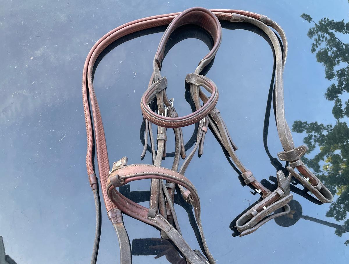 Bridon brun Antares Origin muserolle combinée