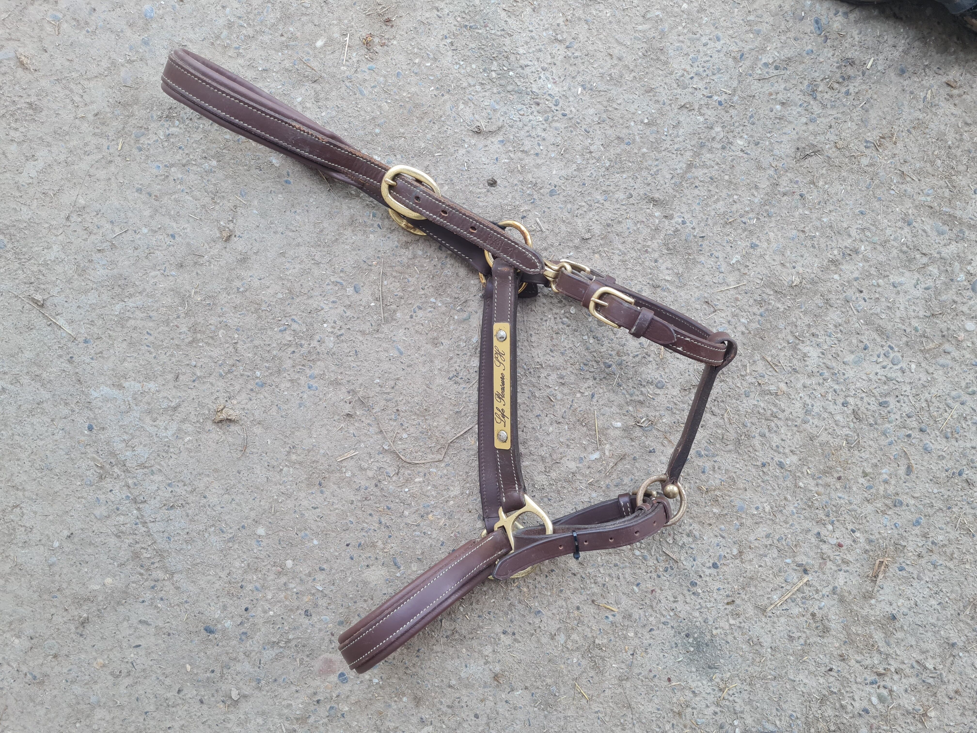 Licol cuir marron swag